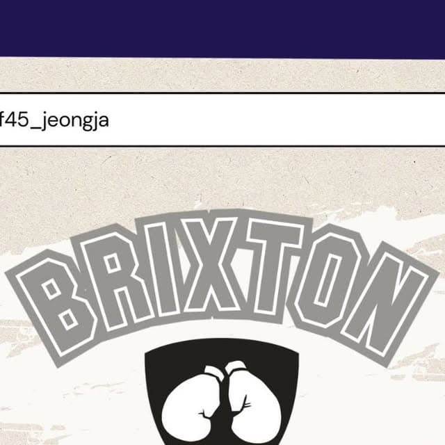 Boxing & kickboxing combat training BRIXTON 4120